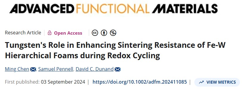 Paper snapshot: Tungsten's Role in Enhancing Sintering Resistance of Fe-W Hierarchical Foams during Redox Cycling